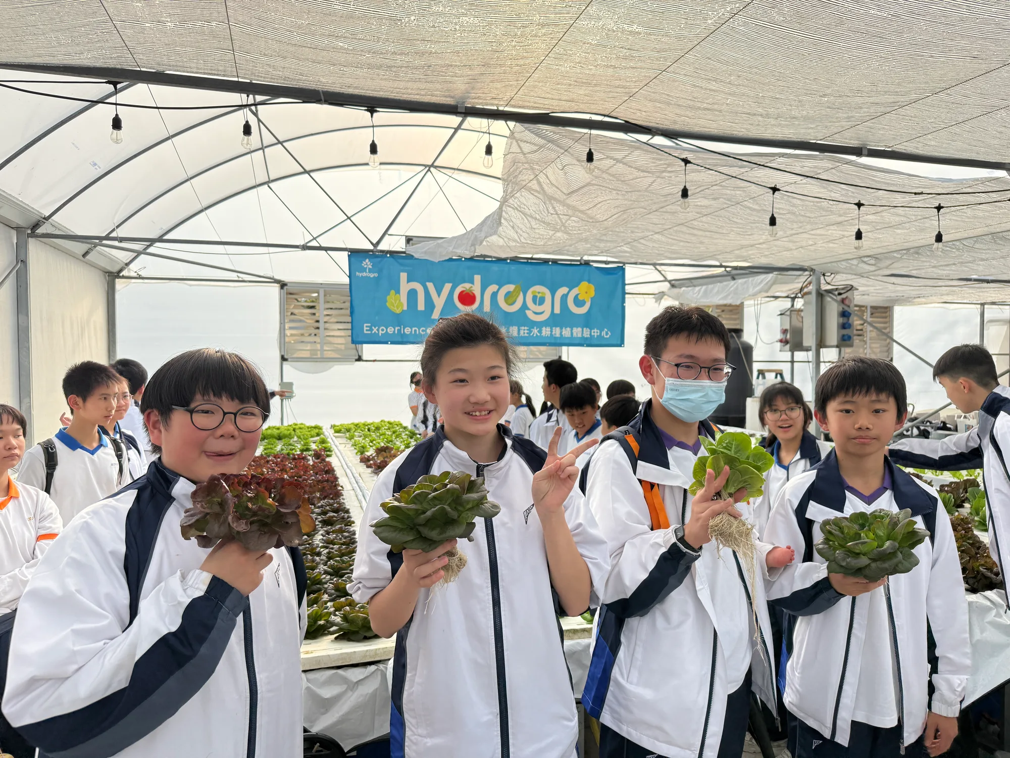 學生在「hydrogro 水耕種植體驗中心」溫室內，每人手持一棵剛採收、保留完整根系的水耕生菜合影。