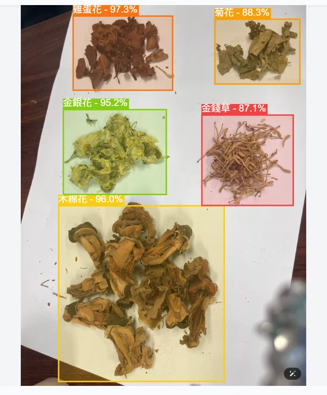 Students training an AI to recognise herbs
