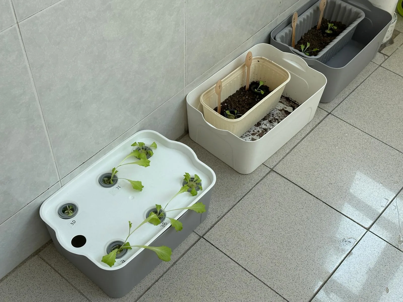 Hydroponic and soil planting setups